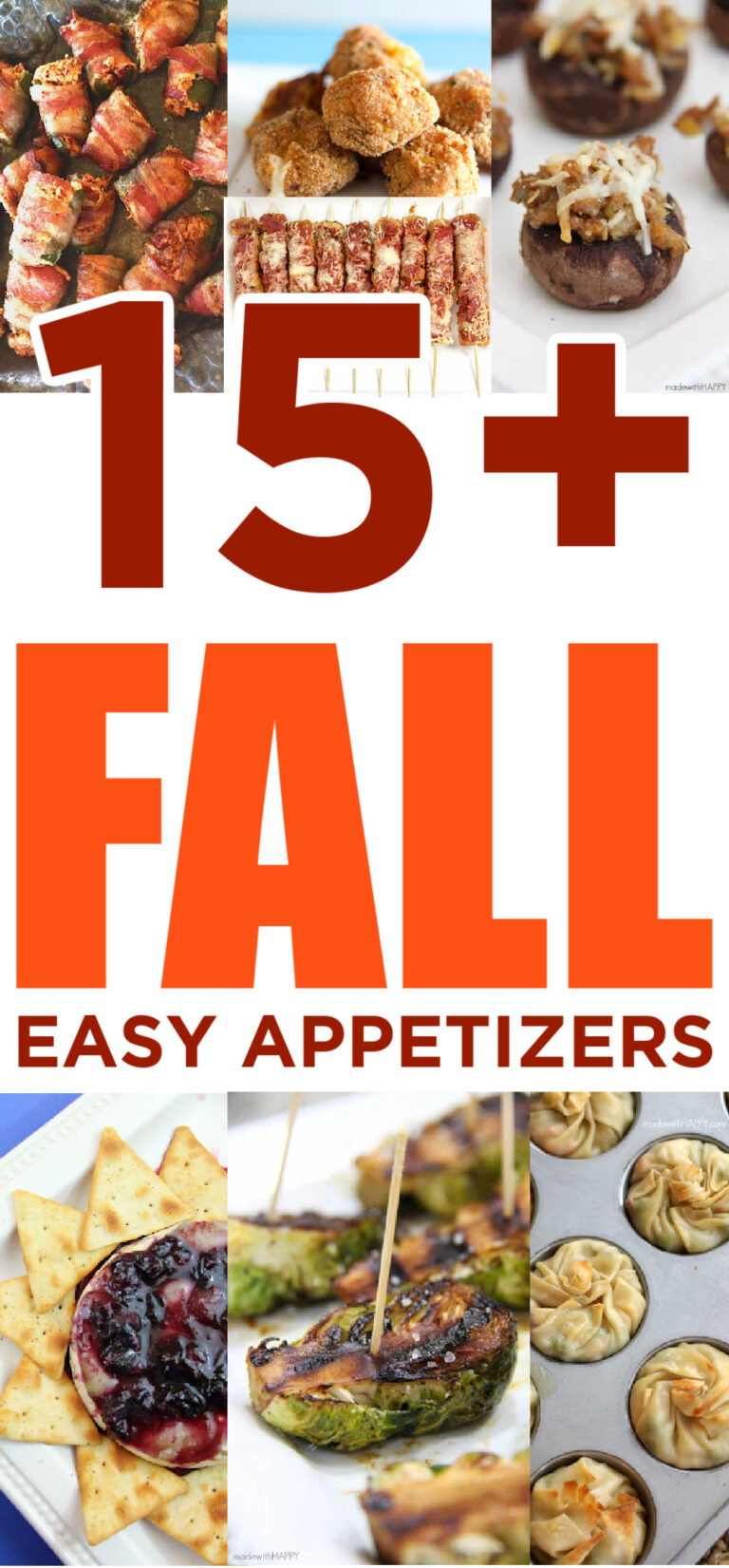 15+ Easy Fall Appetizers - Made with HAPPY