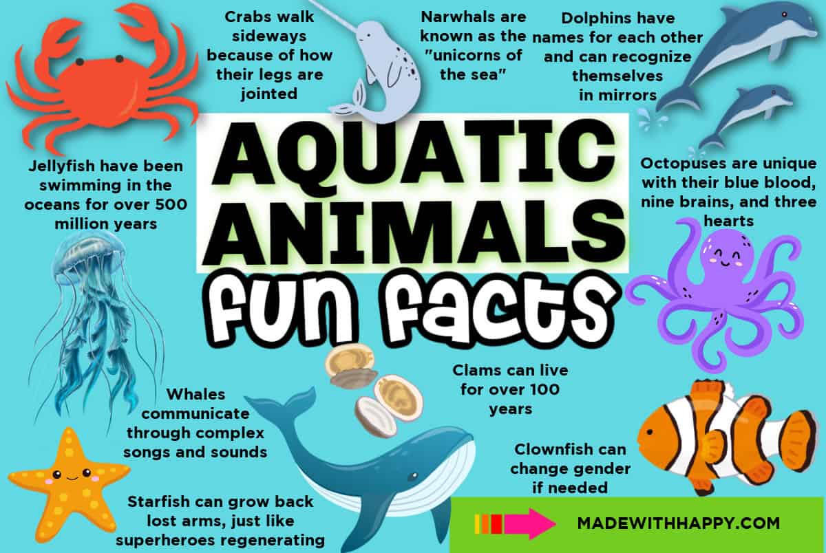 aquatic-mammals-fun-facts