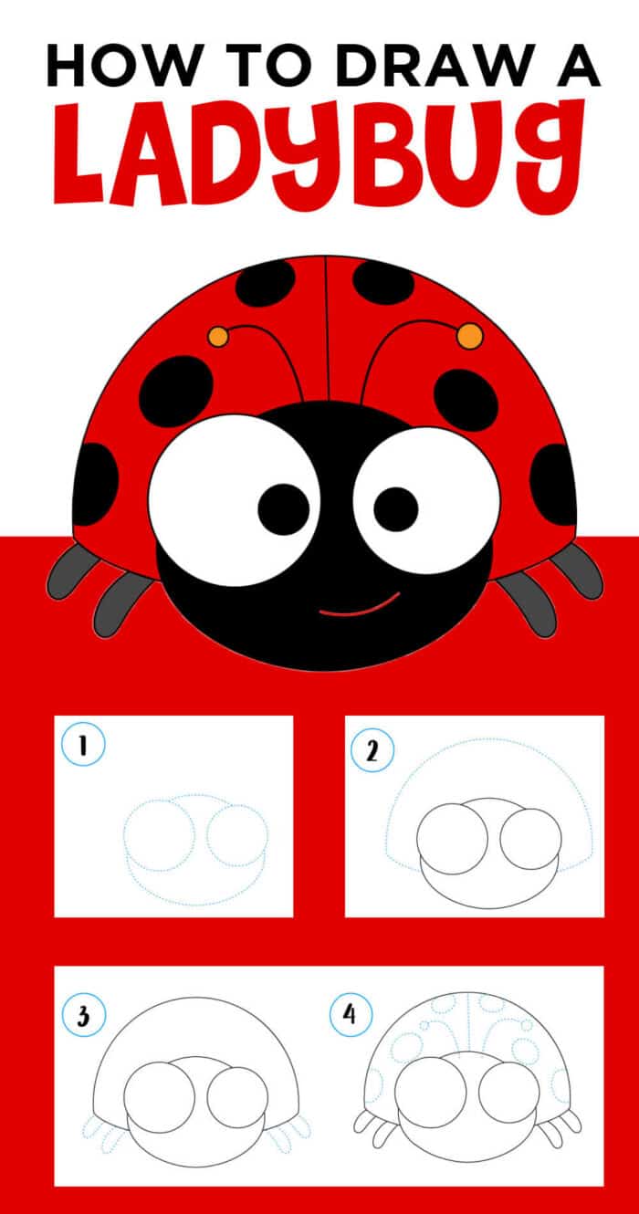 how to draw a cute ladybug