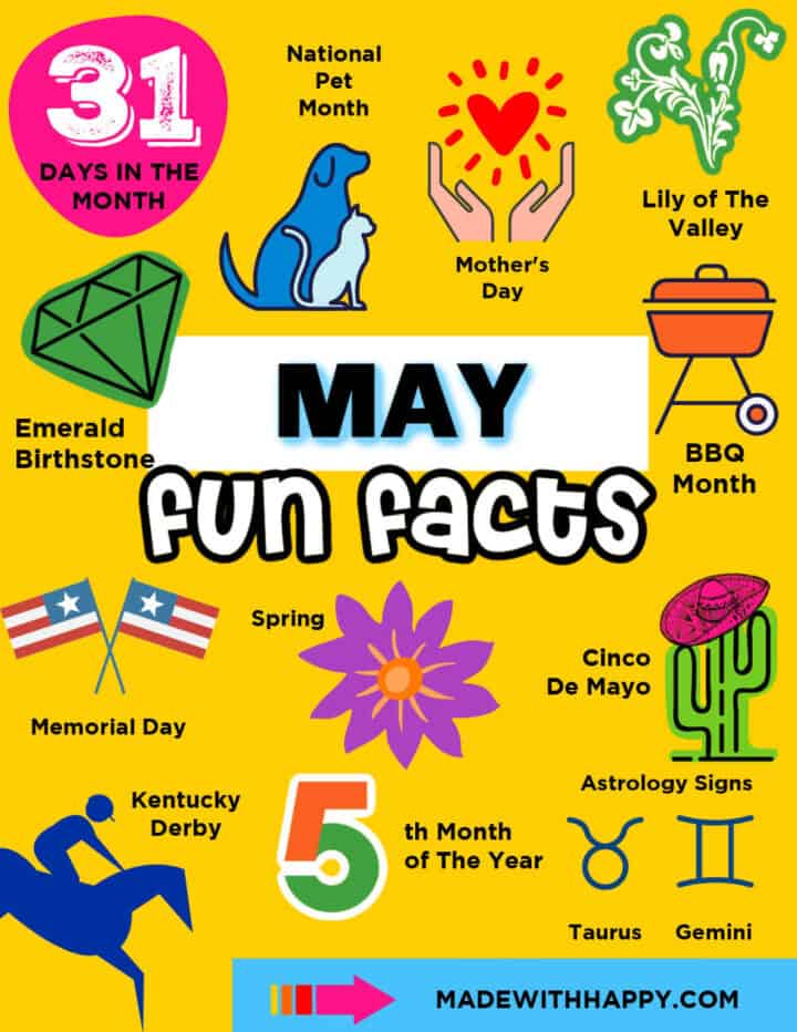 May Fun Facts 2024 - Bambi Carlina