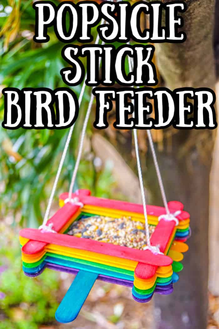 Kids Arts and Crafts Bird Feeders for Outside, 2-Pack DIY Wooden