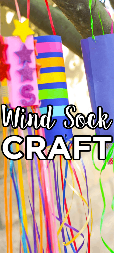 Wind Sock Craft