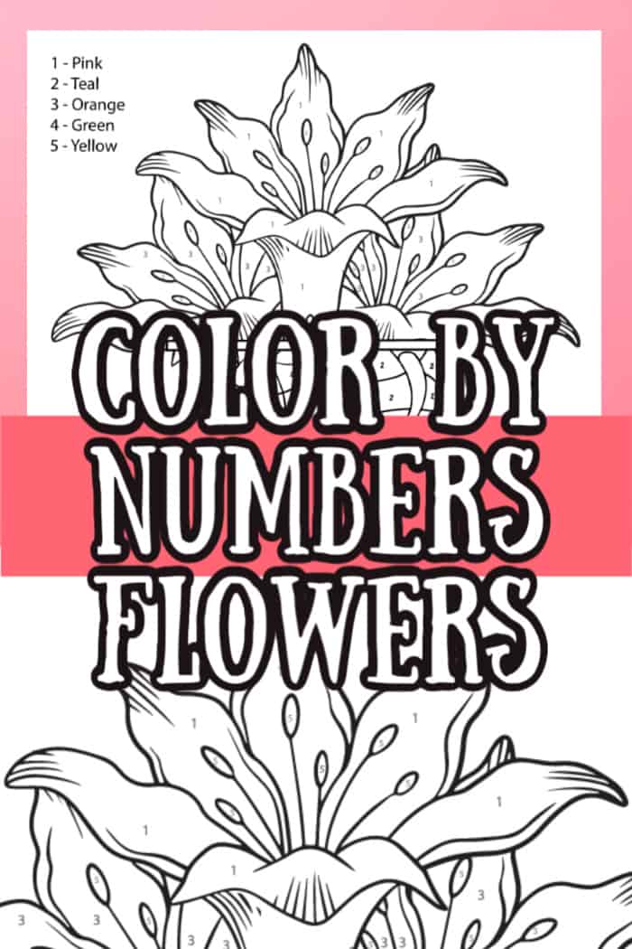 color by number flowers 1000