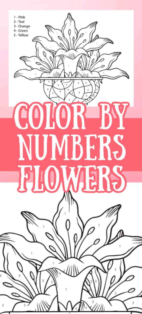 color by number flowers for kindergarten