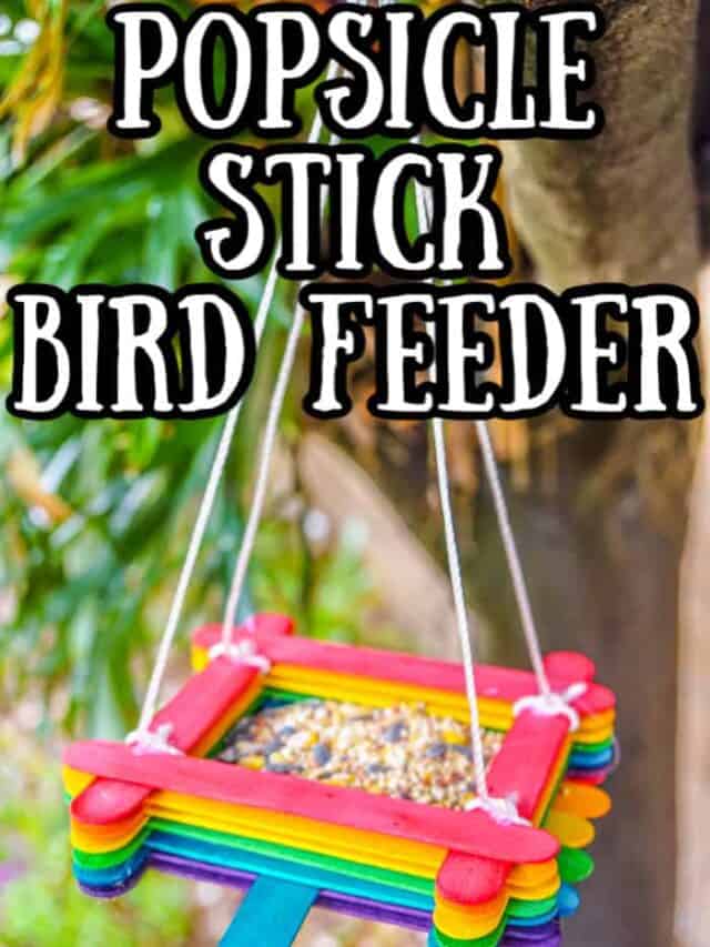 Popsicle Stick Birdhouse