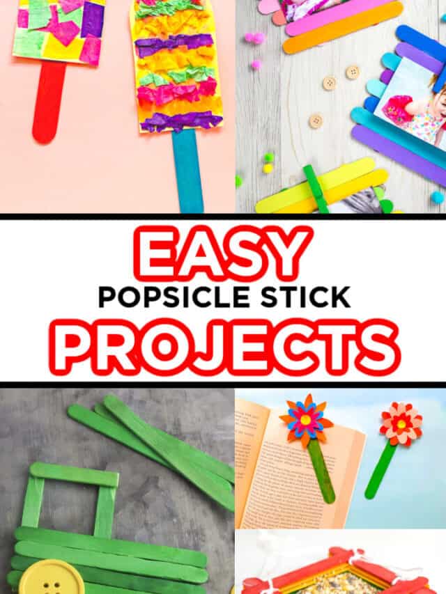 Popsicle Stick Projects