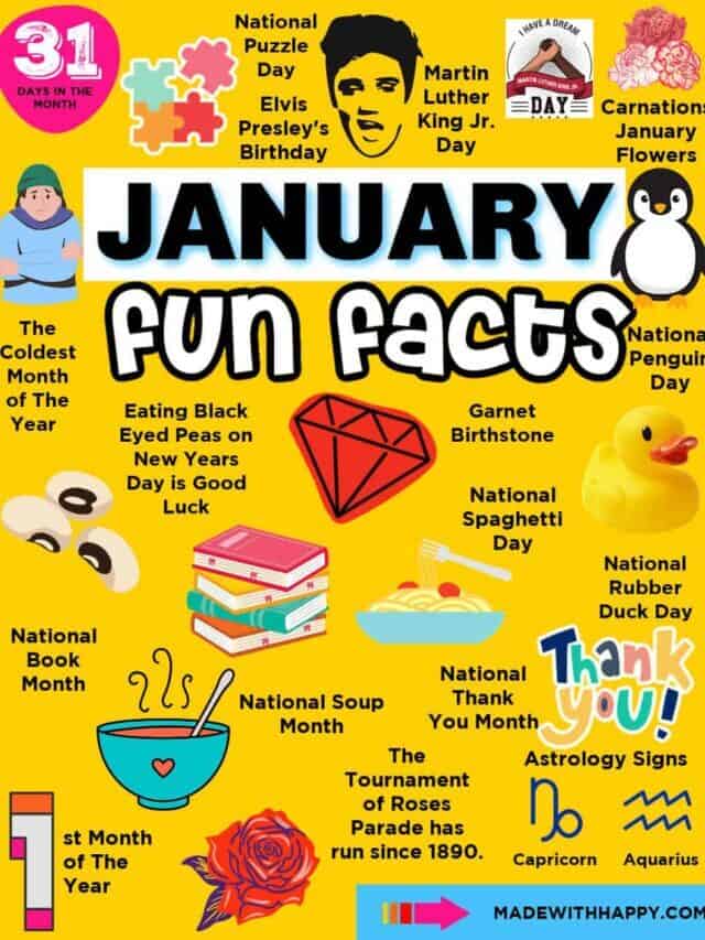 Fun Facts in January