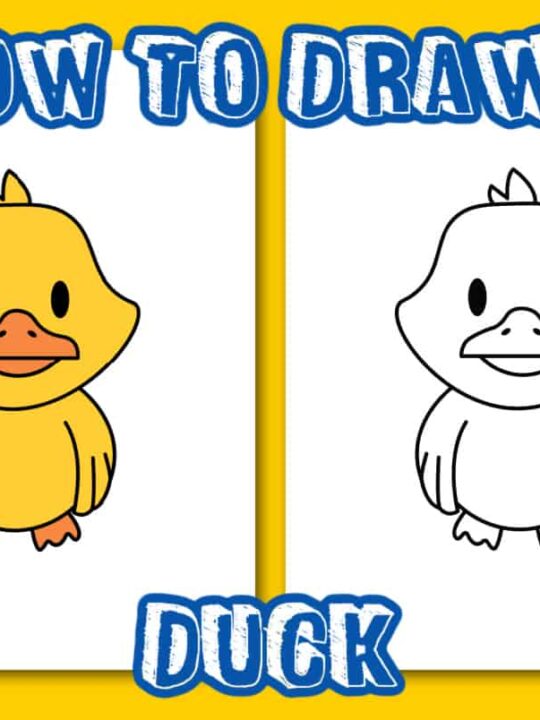 How To Draw Easy Duck Drawing||Simple And Easy Duck Step by Step video  @AryaDrawingArt - YouTube