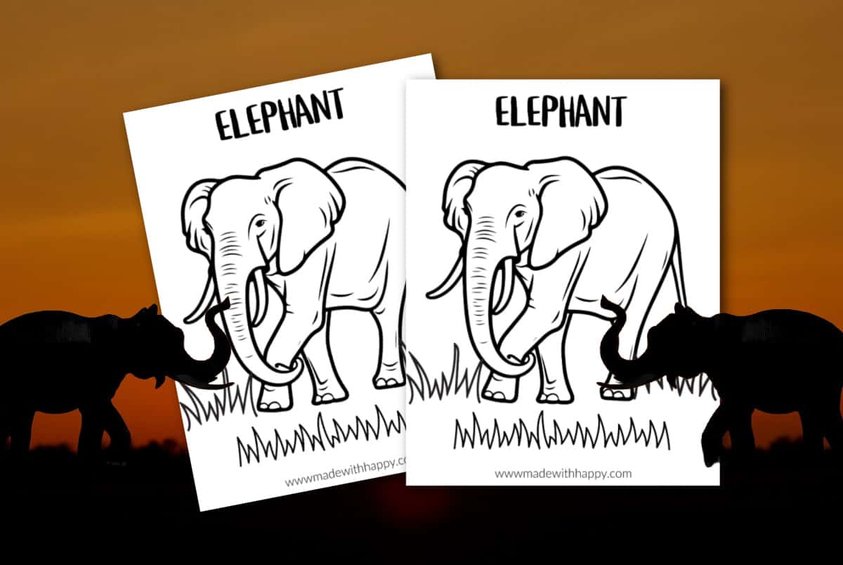coloring pages of elephants