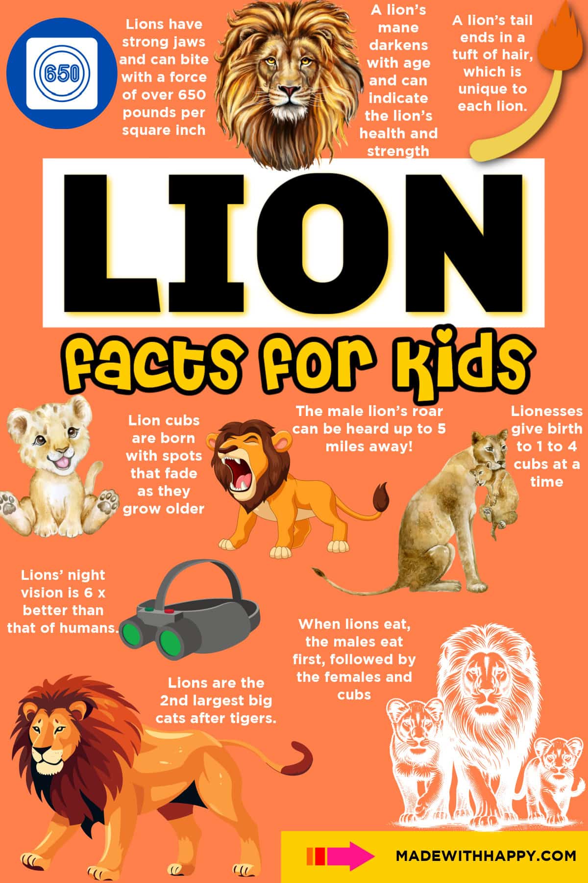 facts about lions