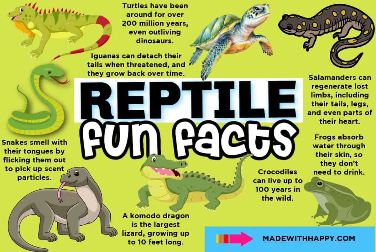 facts about reptiles