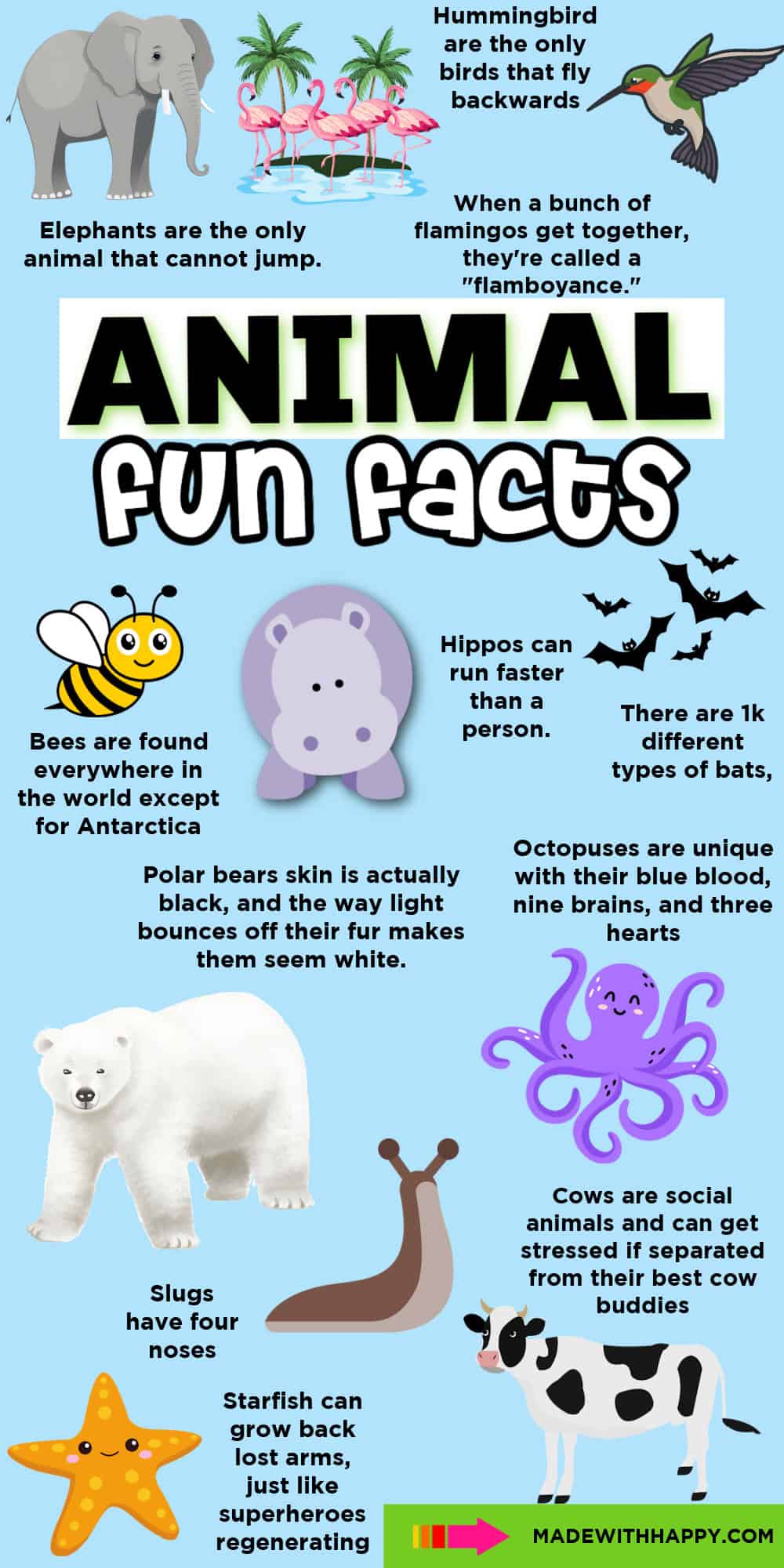 fun animal facts