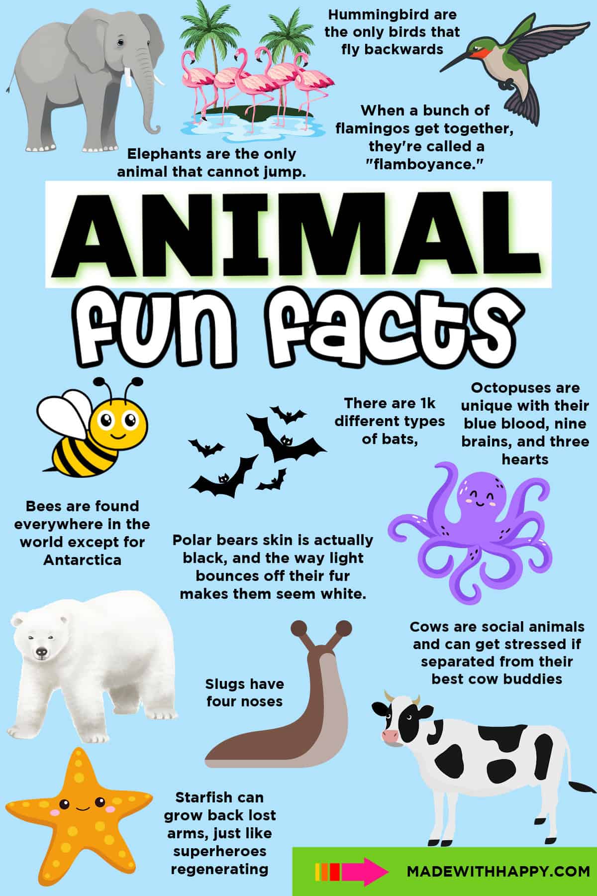 fun facts about animals