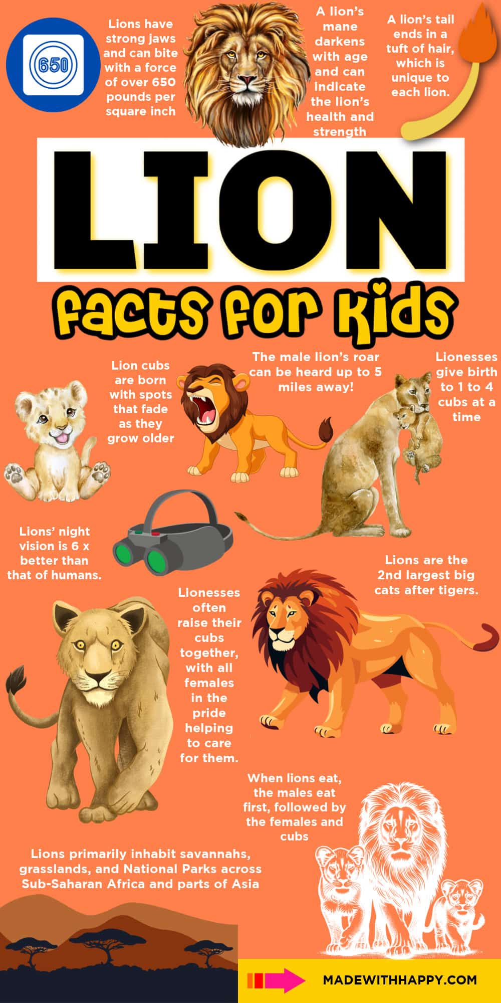 fun facts about lions