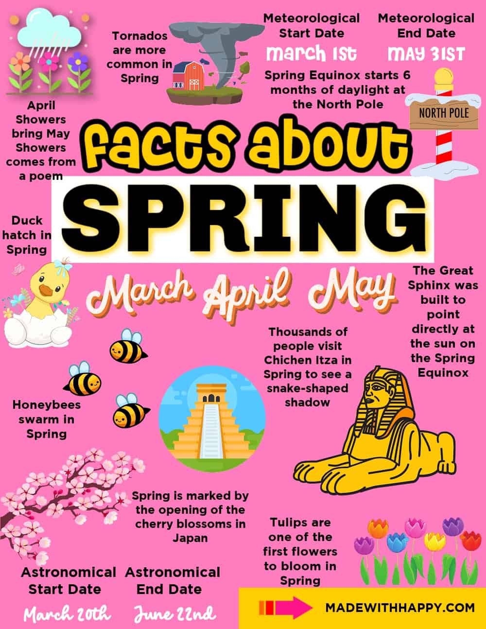 The most unexpected facts about spring that will be interesting for both  adults and children