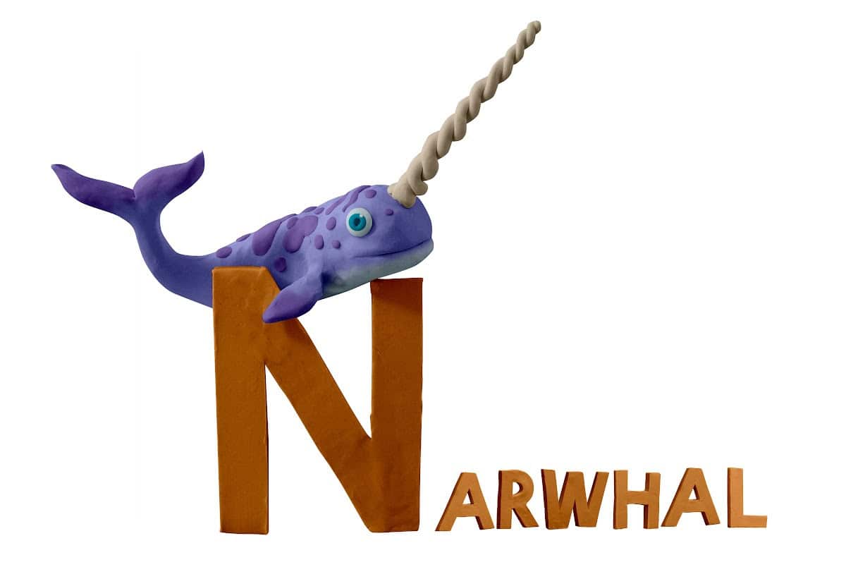 fun narwhal crafts ideas