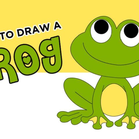 How To Draw A Frog, Step by Step, Drawing Guide, by PuzzlePieces - DragoArt