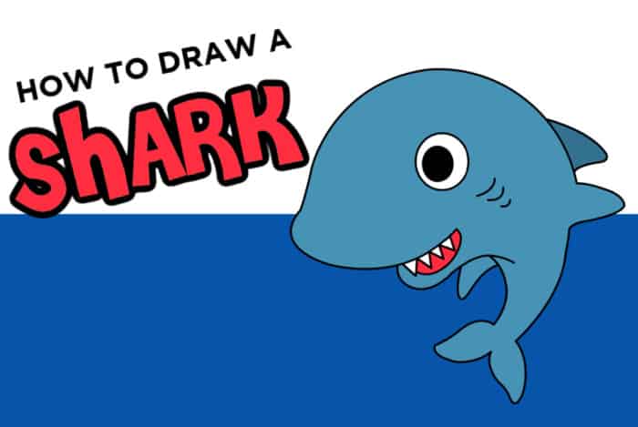 how to draw a shark easy