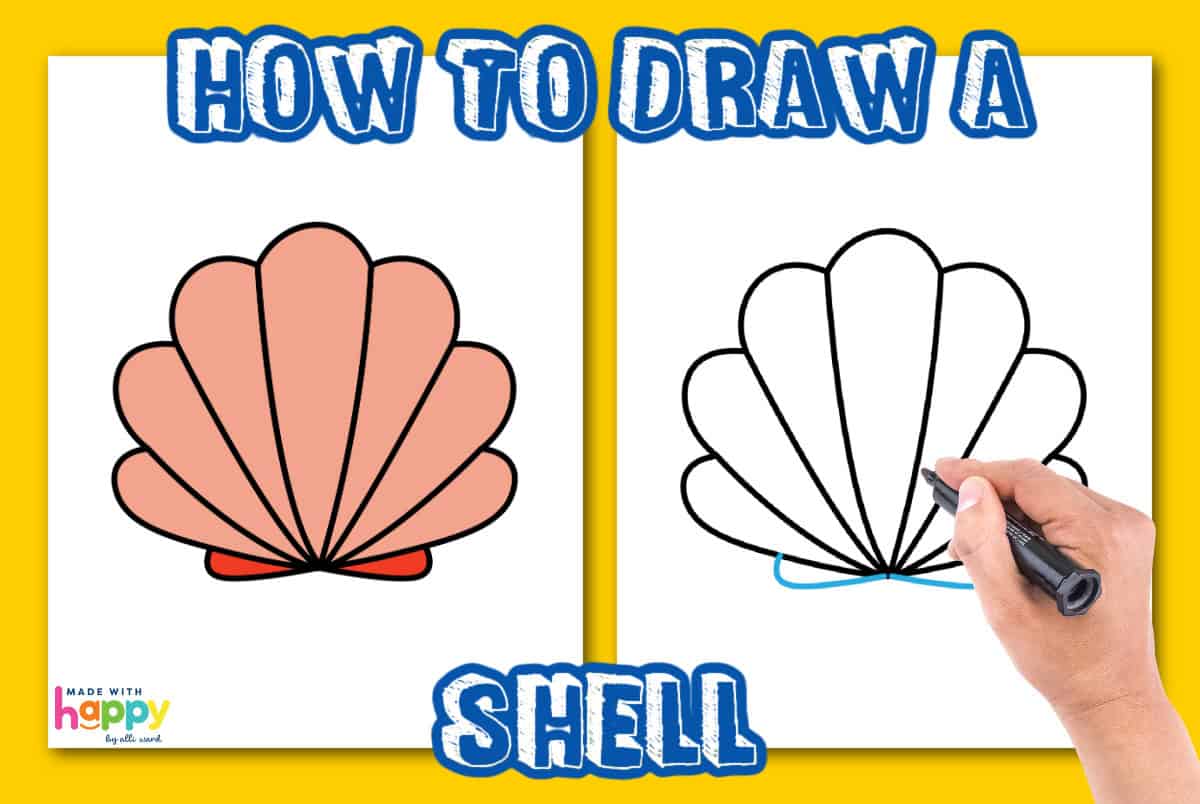 how to draw sea shells
