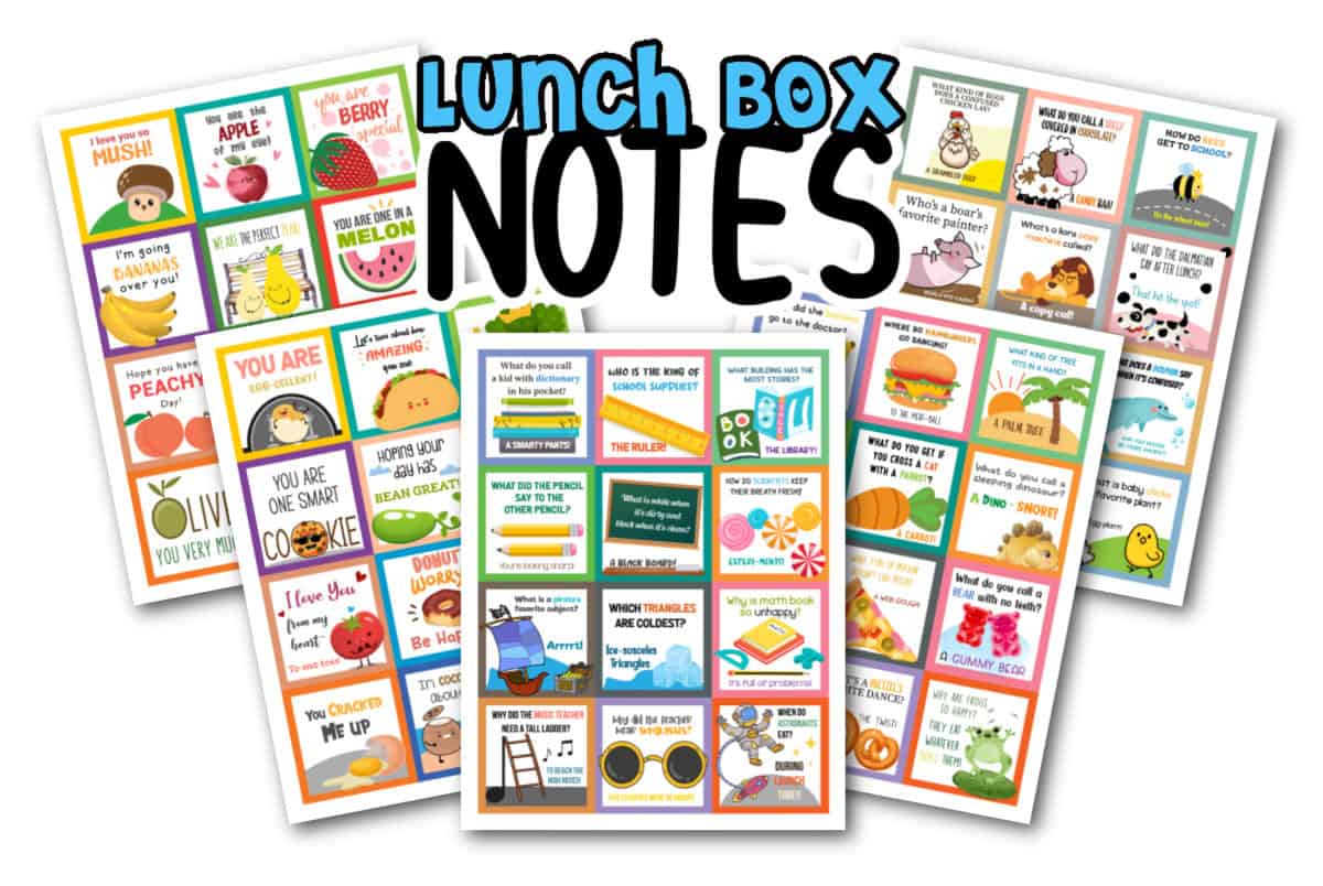 Lunch Box Notes 