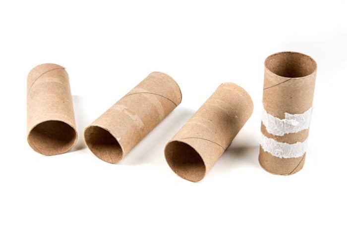 Toilet Paper Rolls for Crafts - Today's Creative Life